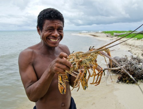 A Miskito diver holds legally sized lobsters caught by free-diving (snorkel) in the Miskito cays.