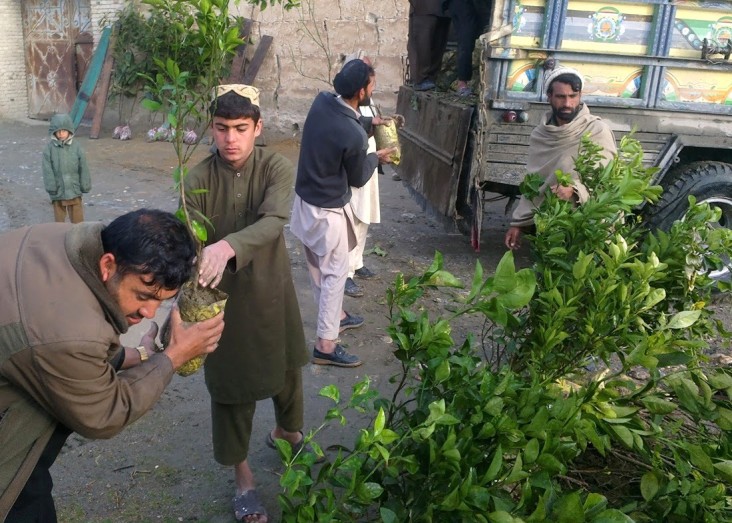 USAID provides saplings and necessary technical support to create new vineyards and rehabilitate old ones.