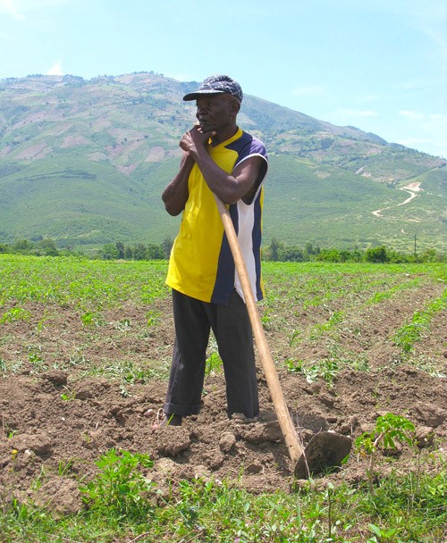 A Haitian man works in a field as part of the Watershed Initiative for National Natural Environmental Resources (WINNER) project