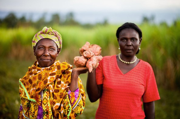 In Kenya, Feed the Future works to teach smallholder farmers, including the women above, how to improve their food security.