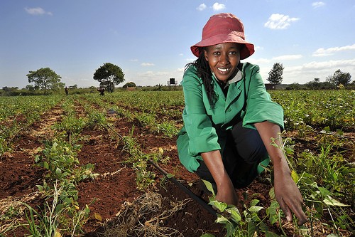 A Kenyan woman smiles at the camera as she kneels down in a field used to grow plants and vegetables.