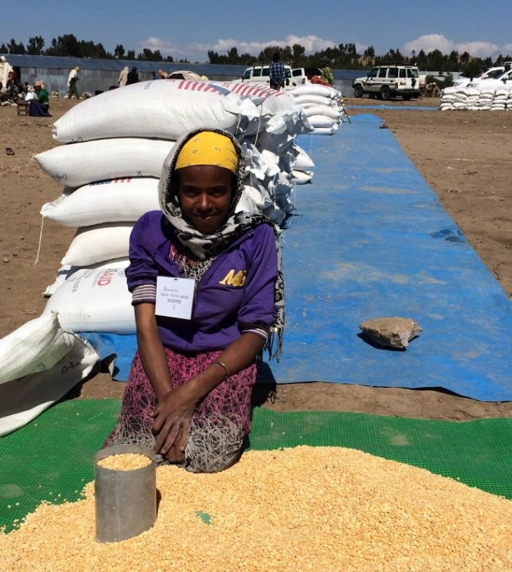 A worker divides portions according to family size at the Estayesh food distribution site in Meket Woreda. Through a Catholic Re