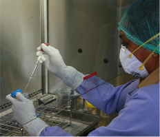 USAID TB Program. A staff member  works at the Jayapura Health   Laboratory