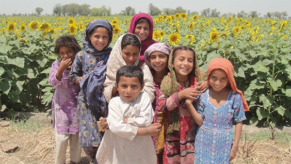 Happy children play in the fields of sunflowers, which were grown through USAID/Pakistan's Sindh Agriculture Recovery Program.