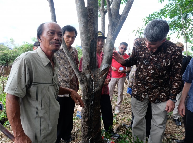 Deputy Chief of Mission Brian McFeeters taps a rubber tree with local farmers.