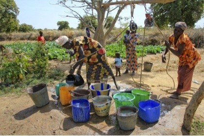 Investing in Sustainable Ag – Ridge tillage techniques in Mali have increased local water table levels, enabling women’s groups 