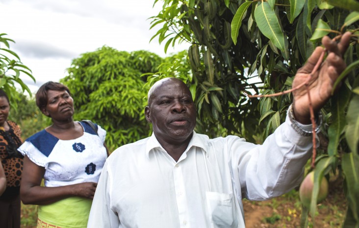 Wilifred Mailu, secretary of the Kawala Small-Scale Horticultural Farmers Group