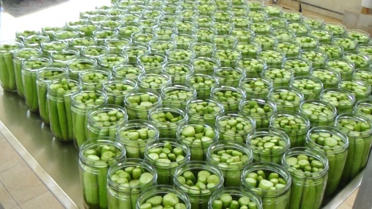 A batch of local pickles is bottled at a food processor outside of Beirut.