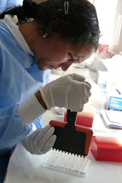 Conducting serological analysis of dried blood spots at the Ethiopian Health and Nutrition Research Institute.