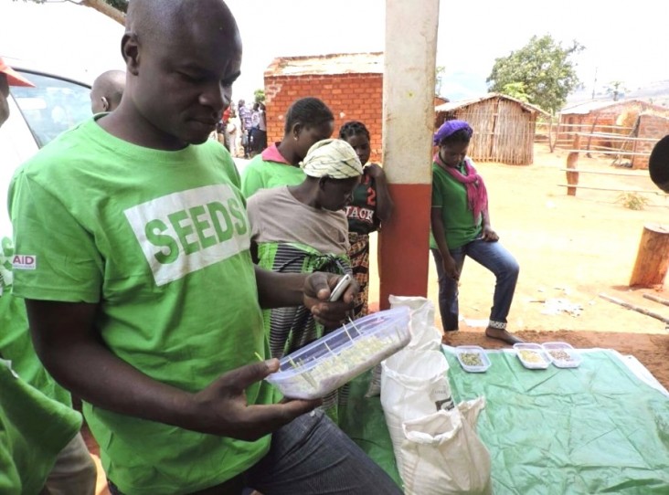 A Phoenix agro-dealer examines germination rates and growth of improved seed to determine which seeds to bring back to his store