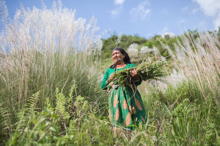 Dum Maya Rana carries cut grass to feed livestock in Khalte Khola.
