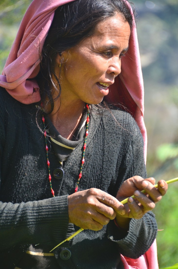 Gauri Maya Bhujel examines her broom grass harvest.