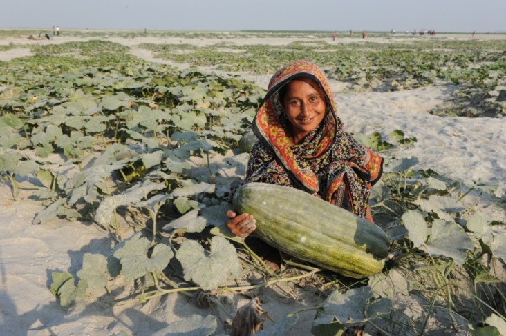SWFF awardee Practical Action is teaching farmers in Bangladesh to grow pumpkins in sandbars
