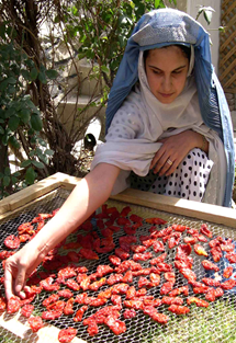 A woman places peppers out to dry. USAID established the first Women’s Farm Service Center, a boost for women’s participation in