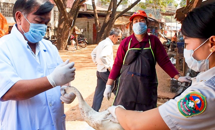 Animal health service employees conduct surveillance at a market in Vientiane, Laos.
