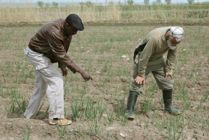 An American farmer helps a Central Asian farmer maximize his yields