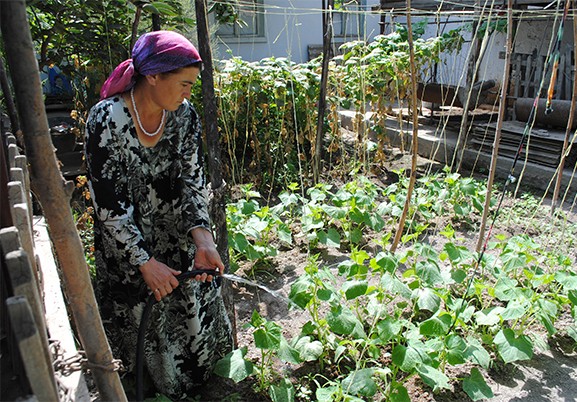 Surayo Rajabova has more time to take care of her garden now that she doesn’t have to fetch water everyday.