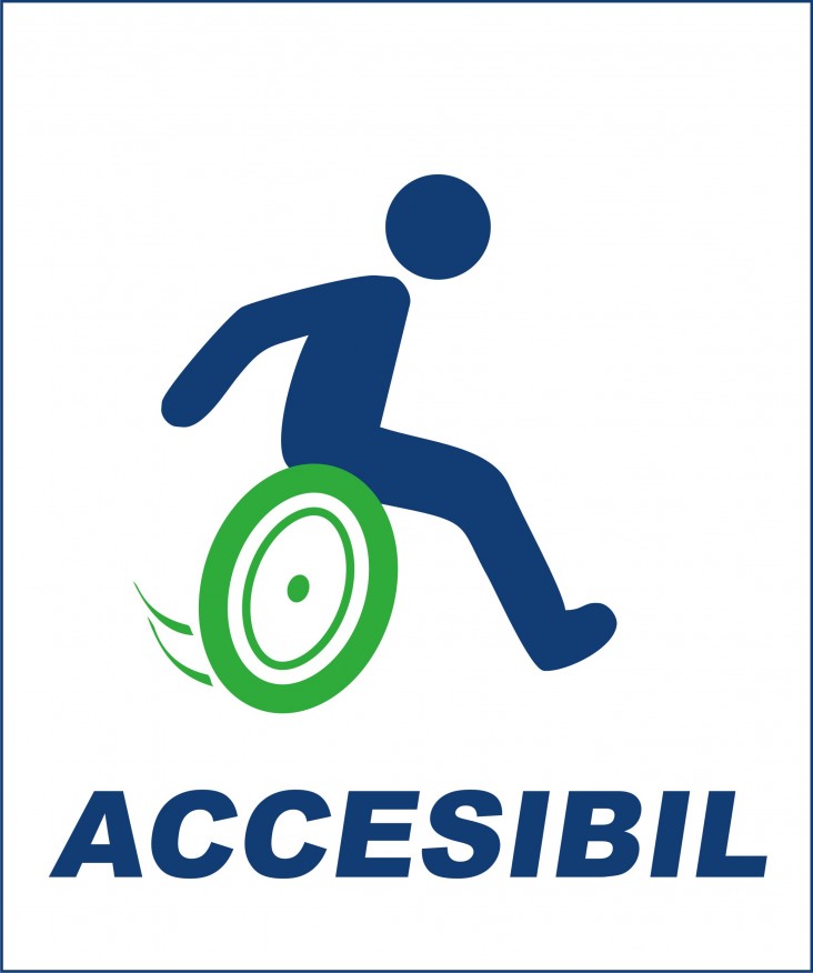 Accessibility logo developed by the USAID-funded MRF project