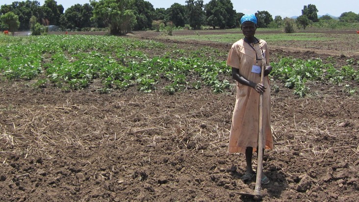 South Sudan agriculture