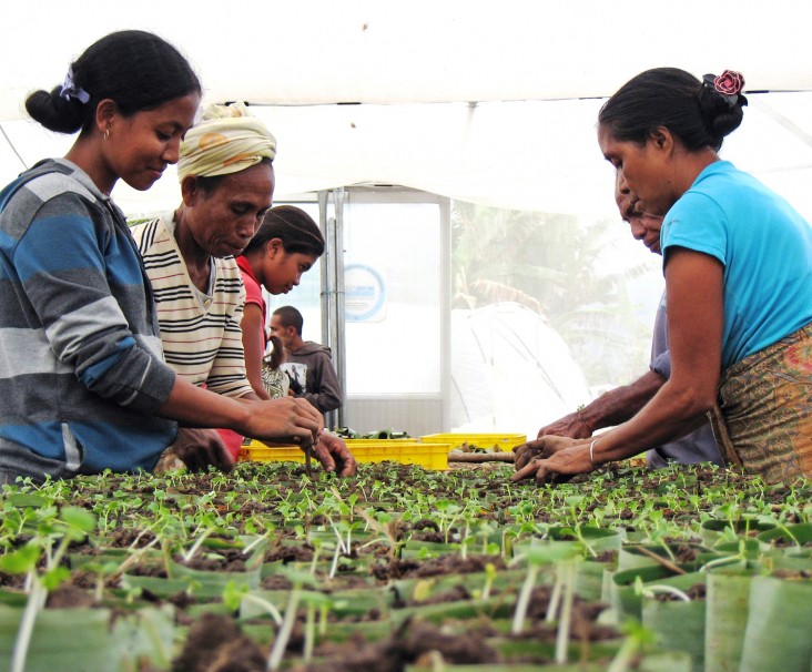 Two communities participating in USAID's horticulture value-chain project are now the owners of commercial greenhouses.