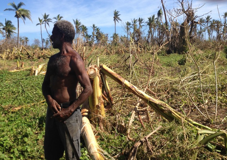 Vanuatu Damaged Crops