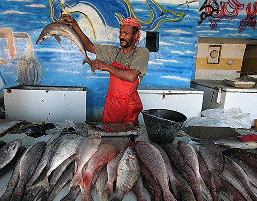 A fish seller in Yemen proudly displays his wares. Fish create jobs for over half a billion people, 95 percent of whom are from 