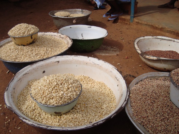 Aiming to improve food security and reduce acute malnutrition, USAID/OFDA supports programs in Burkina Faso 