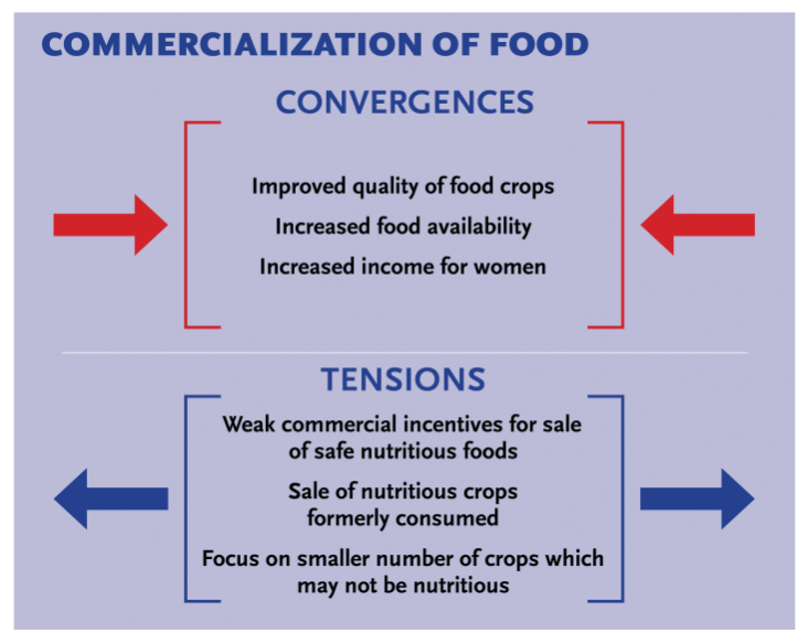 Graphic showing how convergences affect commericalization of food and how commercialization causes tension