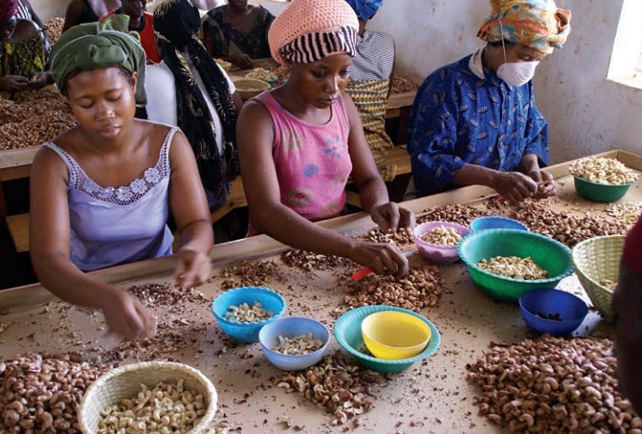 Women sorting beans