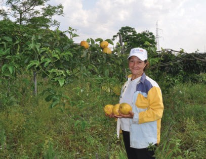 A small-scale farmer in rural Paraguay picks passion fruit that she will sell through a local farmers collective. With Paraguay’