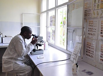 A technician looks through a microscope