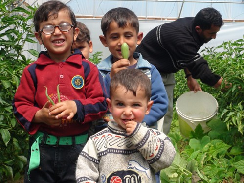 Children enjoying fresh produce grown by their family in a greenhouse provided through USAID assistance. 