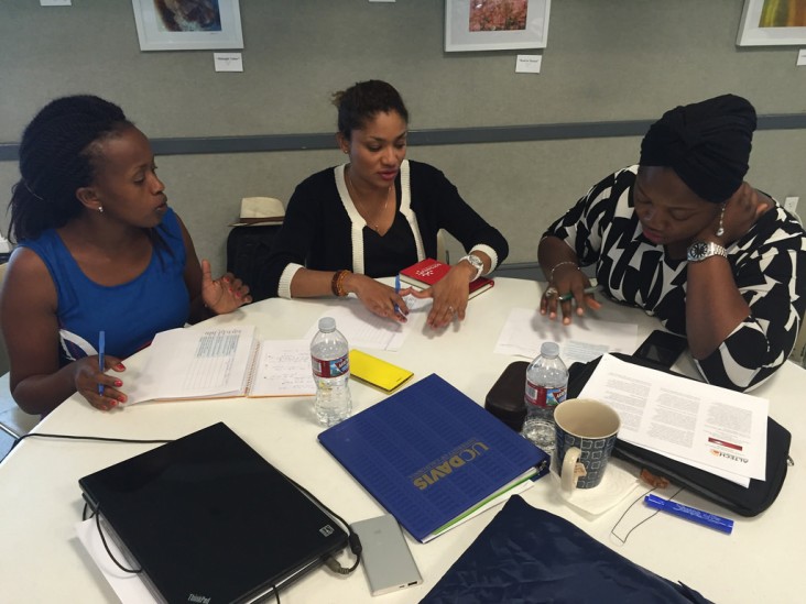 Young African Leaders Initiative (YALI) fellows apply a gender analysis tool as part of the new Energy Institute hosted at the U