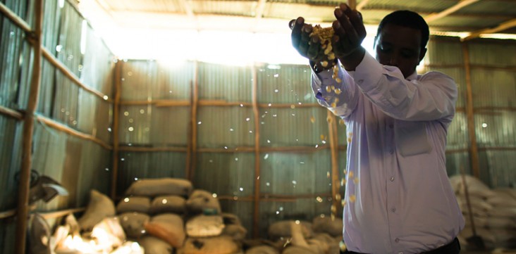 USAID partners with local banks to secure financing for underserved but credit-worthy borrowers, such as this Ethiopian farmer. 