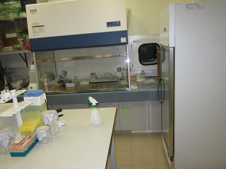 Photo of a lab