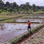 Liberia Implementing the Water Strategy