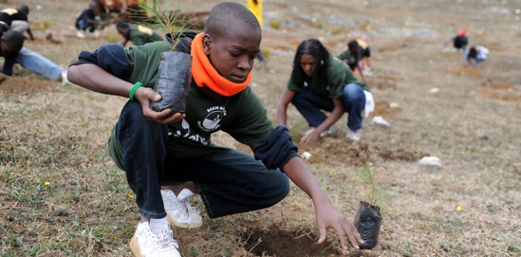  A student plants a tree in spring 2011 as part of a reforestation project with a local NGO in La Visite National Park, Haiti.  