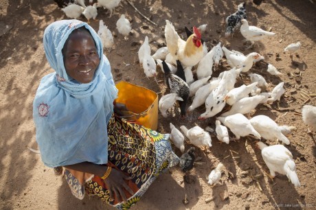 Rural chicken farmers like Sagnol Salimata, pictured here, have received technical training and barn-construction support throug