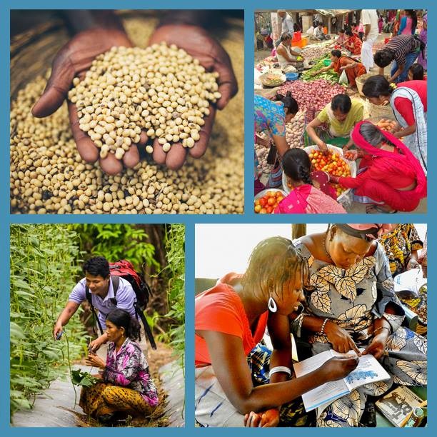 What is Feed the Future? Why is food security important? 