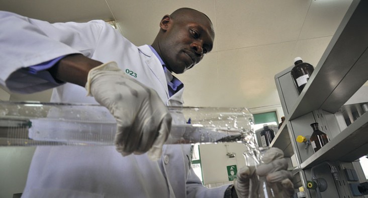An analyst at the National Quality Control Laboratory in Kenya conducts a test on a pharmaceutical sample.