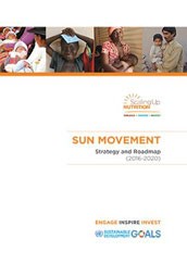SUN Movement Strategy and Roadmap (2016-2020)