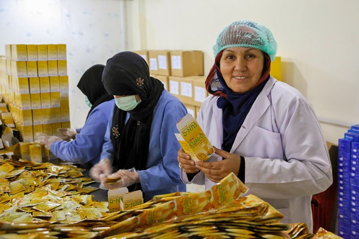 Mrs. Malika Qanih, Owner of Sun Pharma, Supervises Work Activities Her Plant in Kabul, Afghanistan