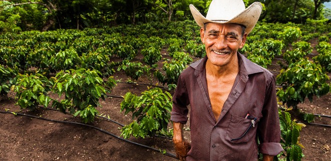 Ubaldo Sagastume in His Coffee Field