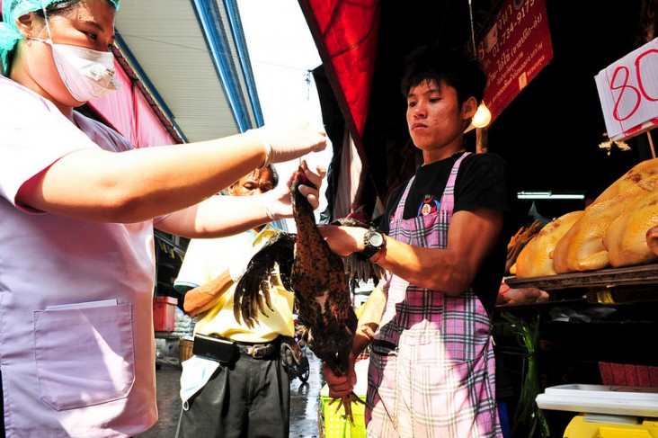 USAID's partners conduct surveillance in Thailand and several other countries in Asia to monitor the health of poultry.