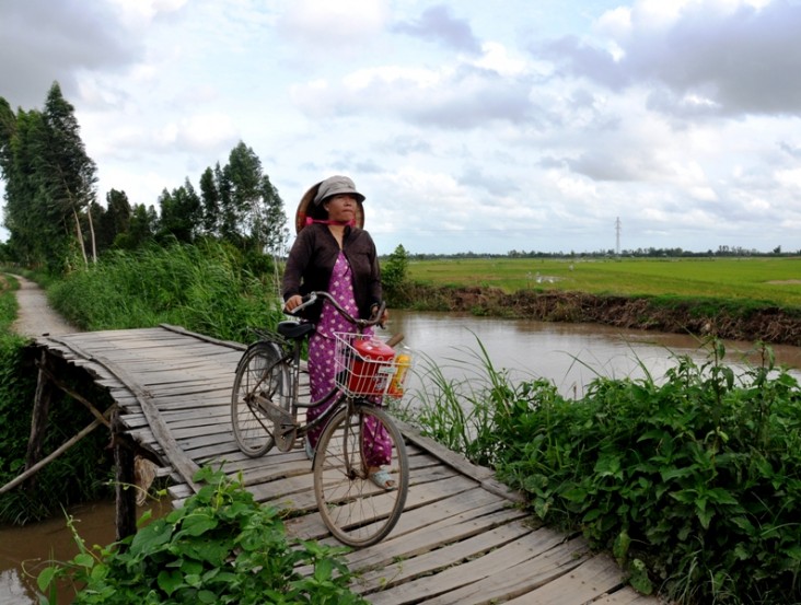 A Vietnamese woman makes her way home in the Mekong Delta.