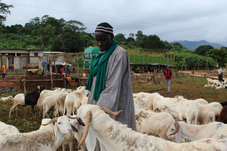 A seller and his livestock in Man during the campaign