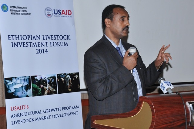 Ethiopia State Minister of Industry Dr. Mebratu Meles addresses the livestock forum in SNNP Region.