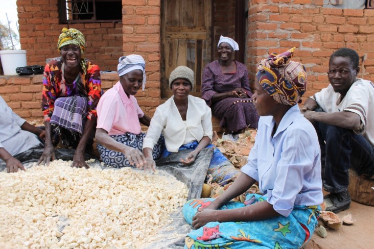 USAID helps increase food security and incomes in Zimbabwe