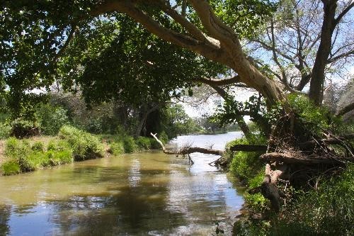 AWARD aims to increase resiliency in the Olifants Catchment in the Limpopo River Basin.