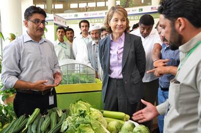 Modernizing Agriculture from the Ground Up: United States Supports Pakistan's Vegetable Farmers